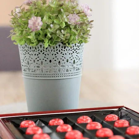 T&d アパート ドゥブロブニク